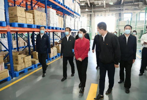 王莉霞強調 強化一對一精準服務，全面推動綜合保稅區高質量發展